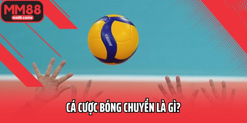 Cá cược bóng chuyền là gì?