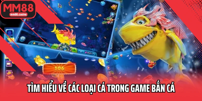 Tìm hiểu về các loại cá trong game bắn cá