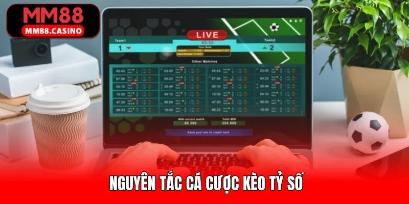 Nguyên tắc đặt cược tỷ số cơ bản cần nắm