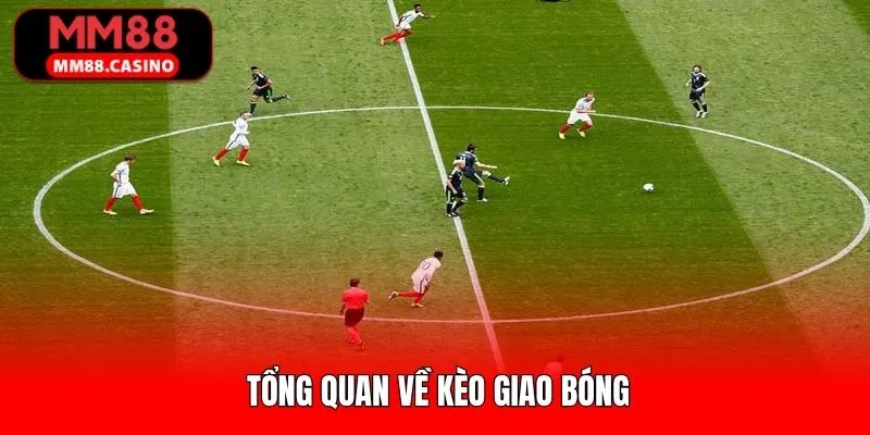 Đôi điều về hình thức cược phát banh